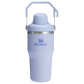 Stanley The IceFlow™ Tumbler with Fast Flow Lid | 20 OZ
