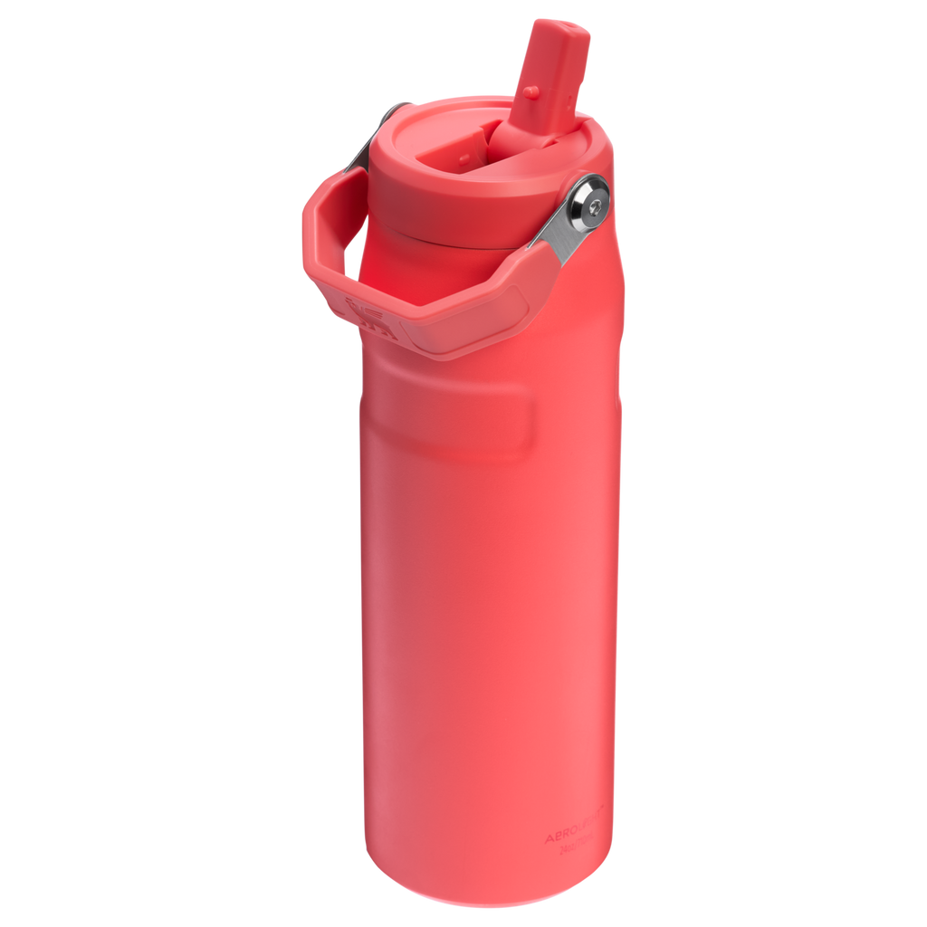 Stanley The IceFlow™ Bottle with Flip Straw Lid | 24 OZ