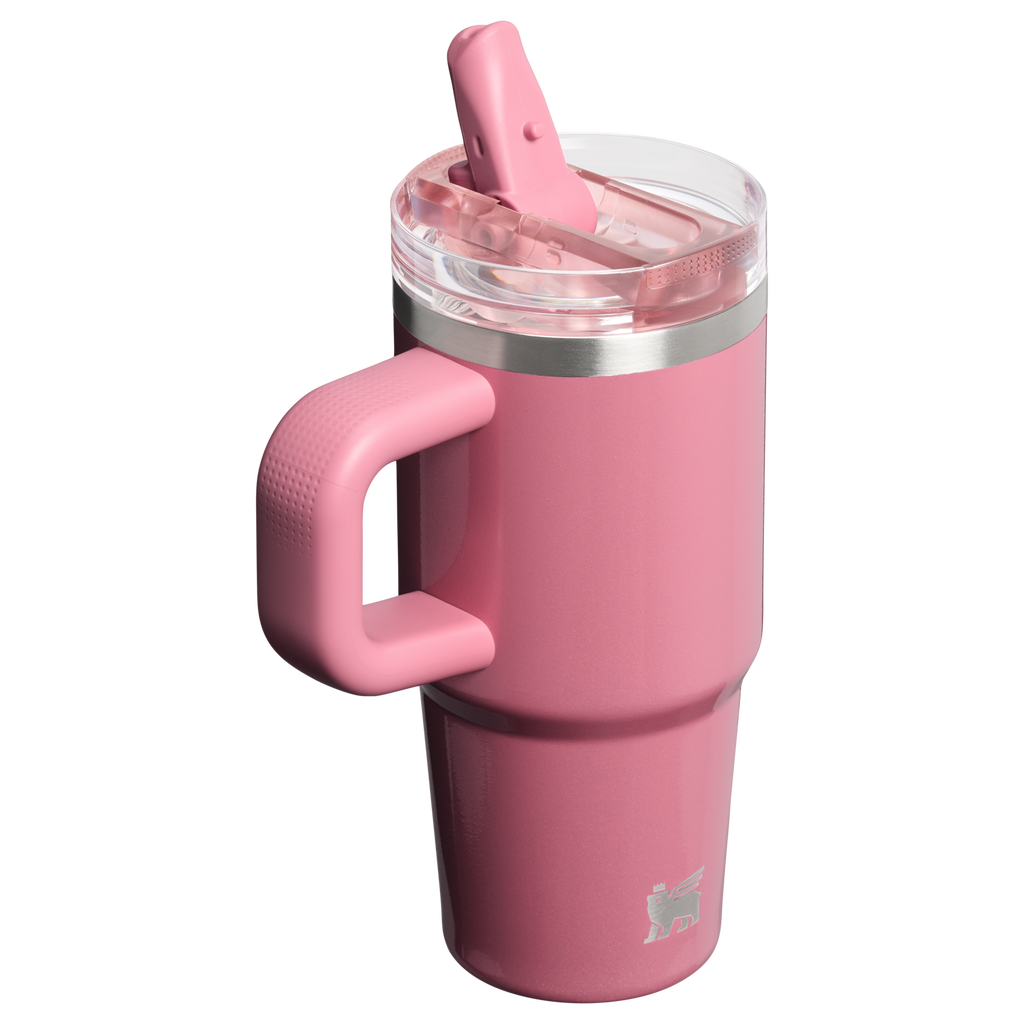 Stanley The Quencher ProTour Flip Straw Tumbler | 14 OZ