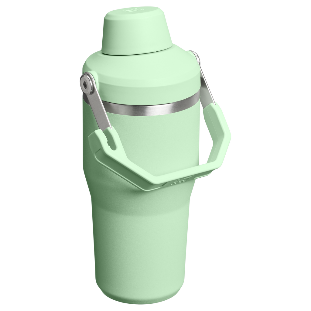 Stanley The IceFlow™ Tumbler with Fast Flow Lid | 20 OZ