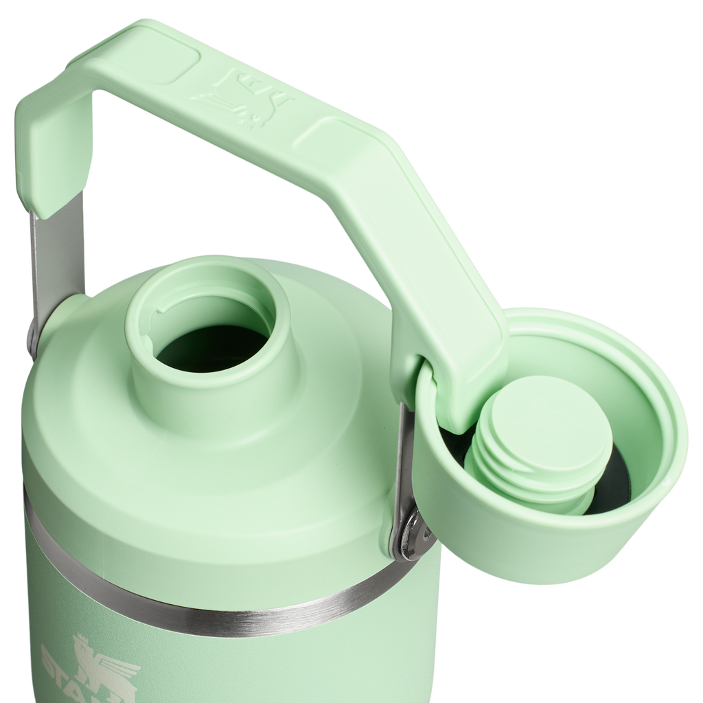 Stanley The IceFlow™ Tumbler with Fast Flow Lid | 20 OZ
